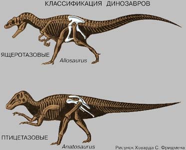 классификация_динозавров